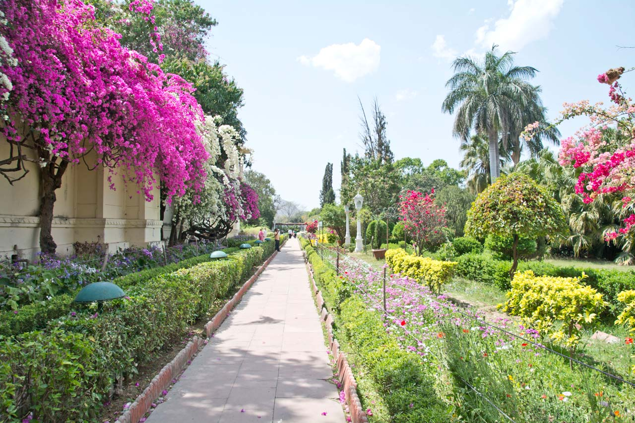 Gardens In Udaipur: How and When to Visit